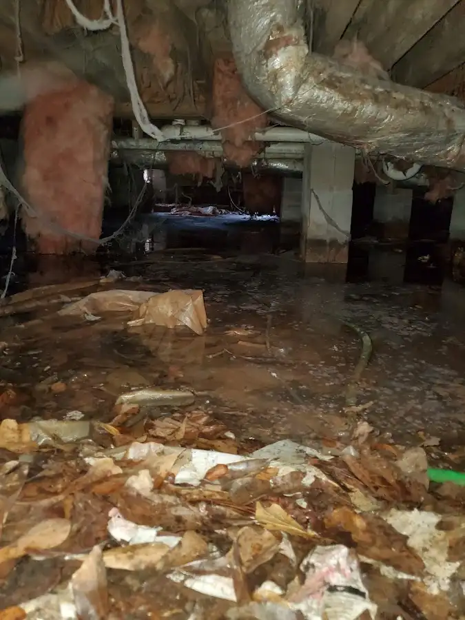 Crawl space flood assessment for Leak Detection & Repair in Port Jervis